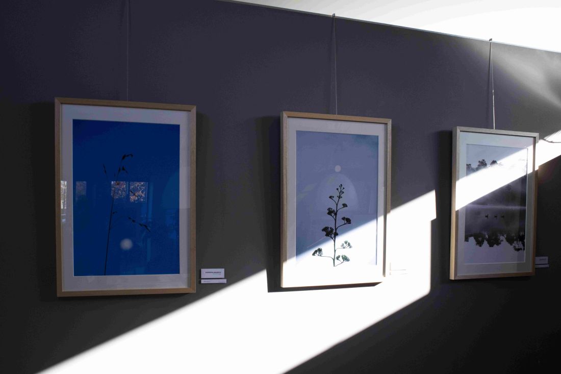 Kunst Scene Bijde Bont Roos Pierson 21