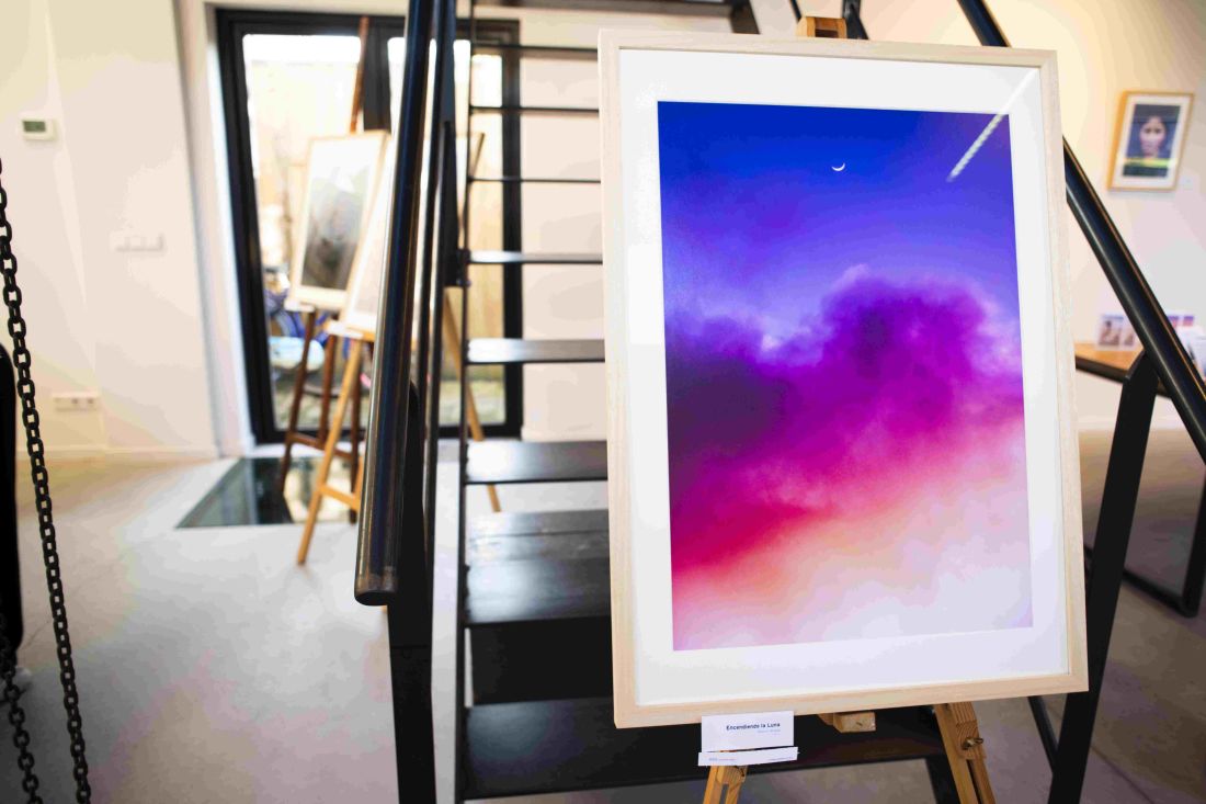 Kunst Scene Bijde Bont Roos Pierson 22