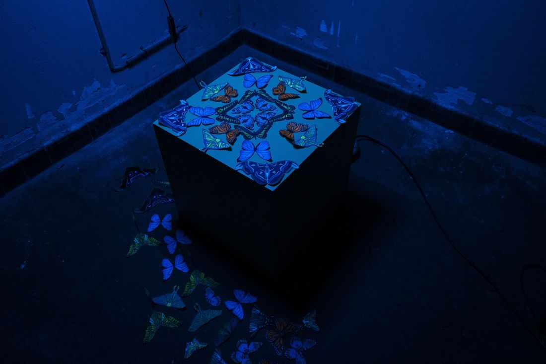 Kunstscene 2024 Tilburg 137 kopie 2024 11 18 124849 jwvm